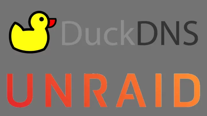 DuckDNS Utwórz darmową subdomenę pod Unraid